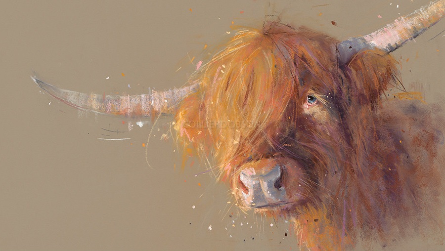 Big Softy by Nicky Litchfield, Cow | Animals