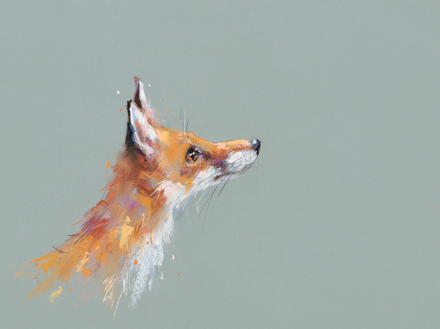 Wishful Thinking by Nicky Litchfield, Animals | Fox