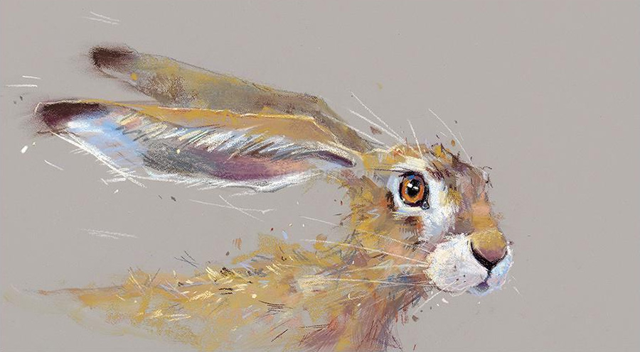 Sorry Must Dash! by Nicky Litchfield, Animals | Rabbit | Hare