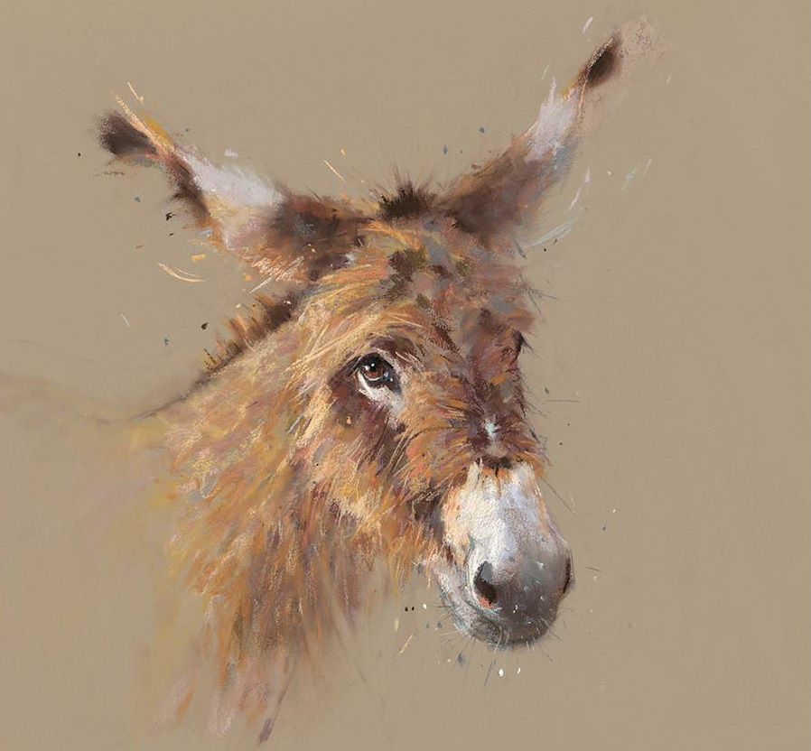 Gentle Jack by Nicky Litchfield, Animals | Donkey