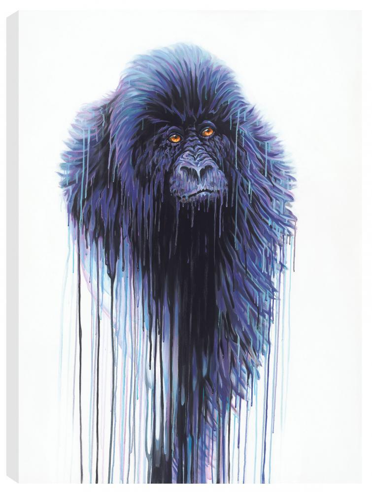 Virunga by Robert Oxley, Animals | Abstract | Gorilla