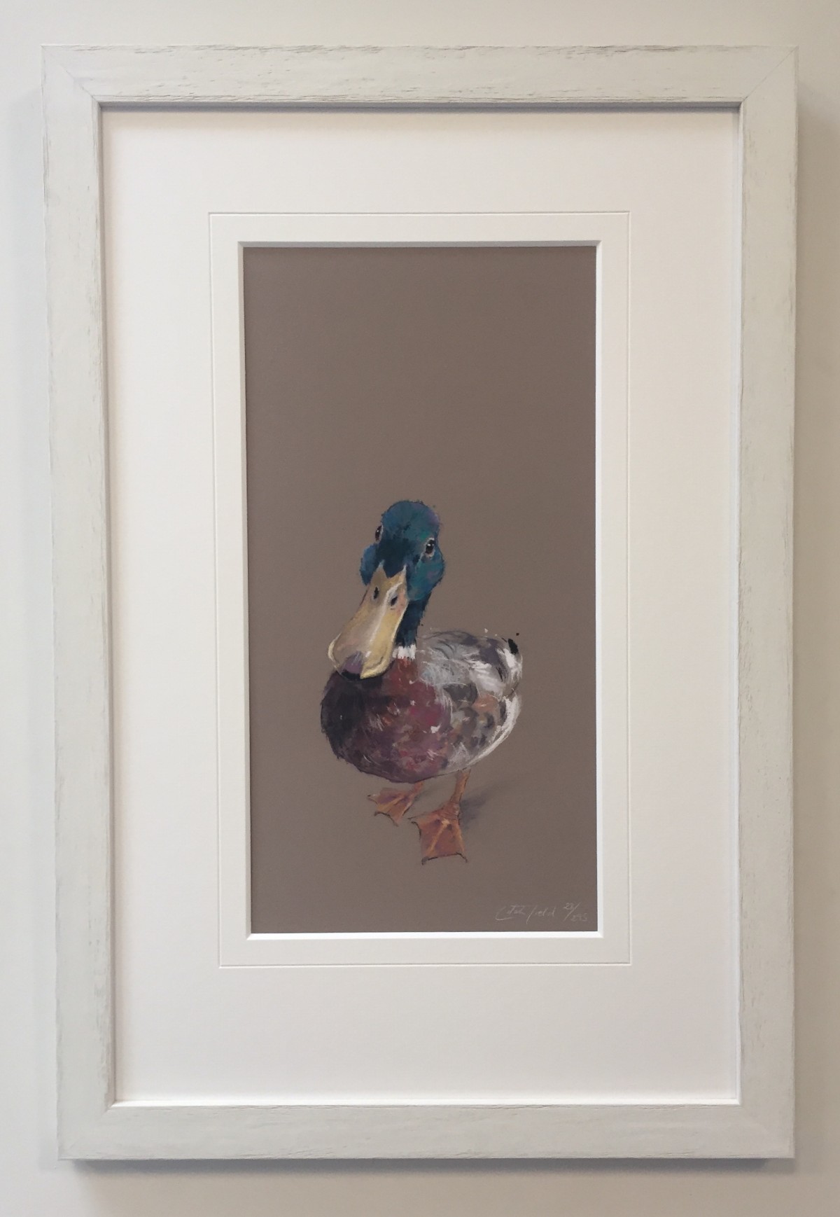 Lord Love a Duck by Nicky Litchfield