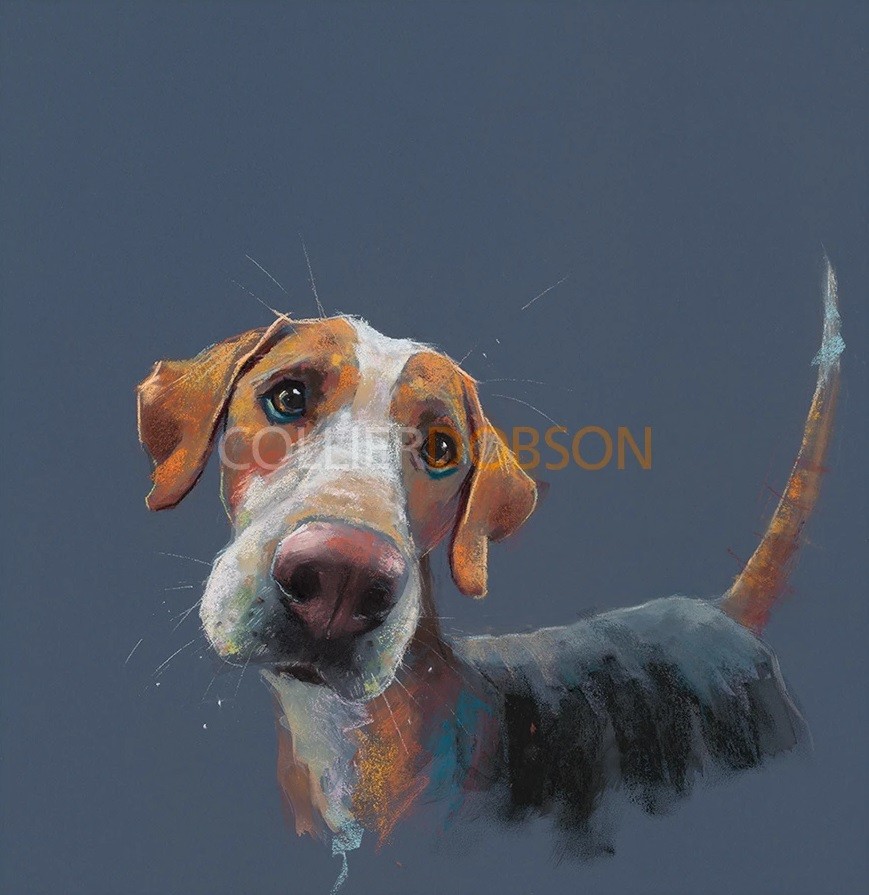 Hound Dog by Nicky Litchfield