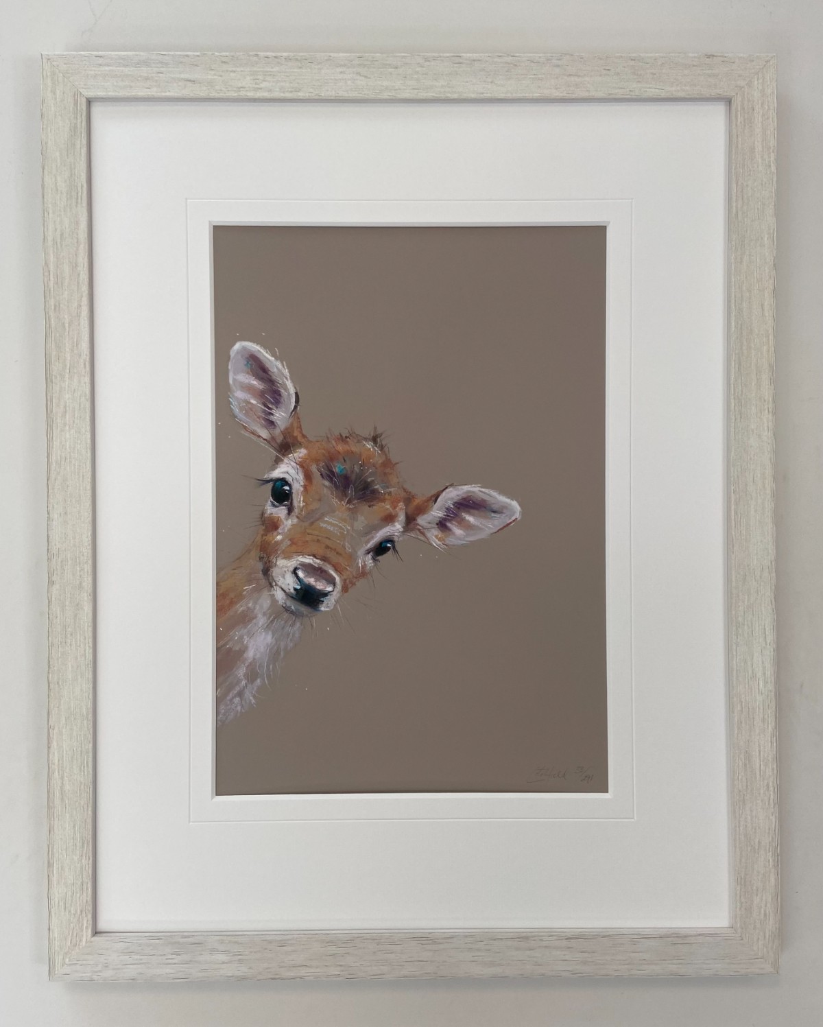 Doe a Deer by Nicky Litchfield
