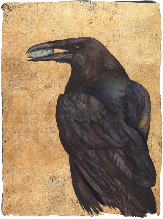 The Lost Words - Raven by Jackie Morris