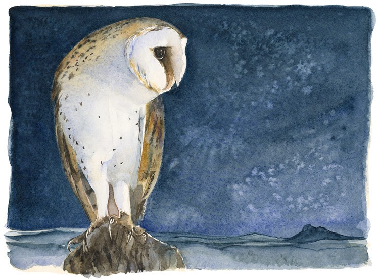 The Lost Spells - Barn Owl by Jackie Morris