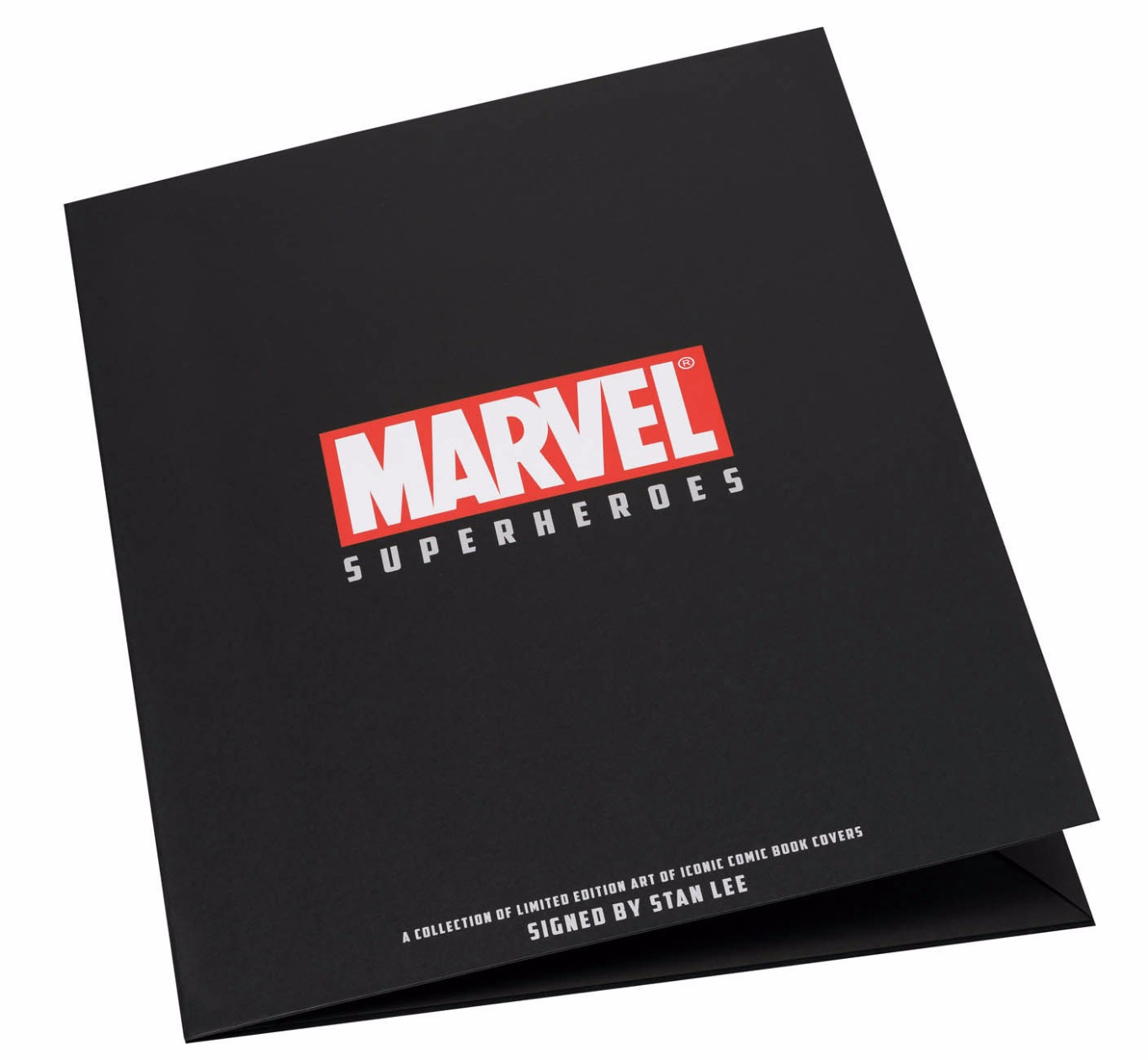 AP 2015 & 2016 Portfolio's by Marvel Comics - Stan Lee